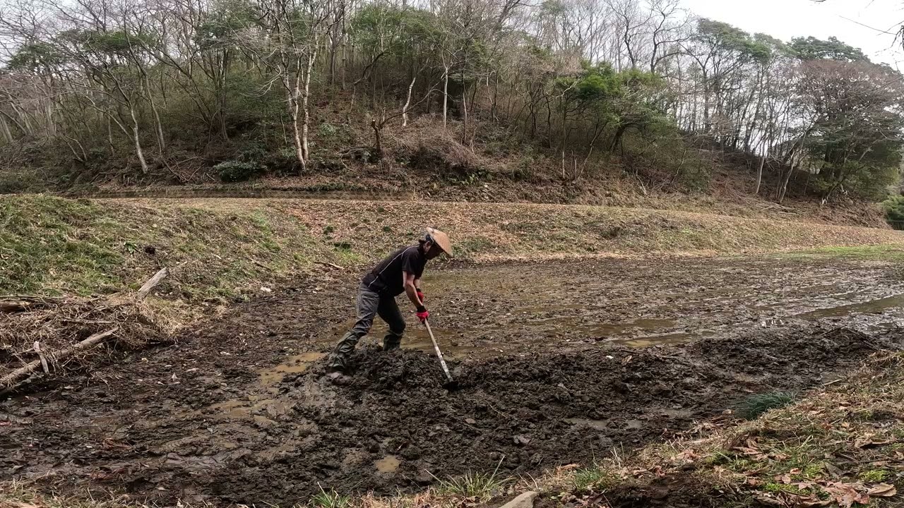休耕田　水抜き堀掘り　ビオトープ