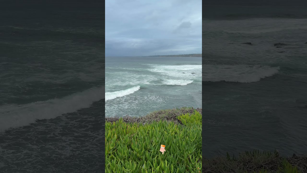 The ocean really is beautiful!