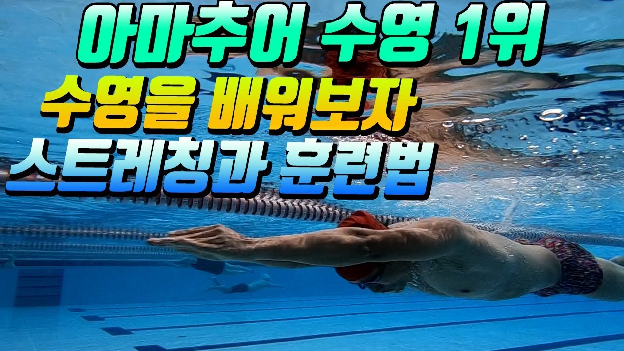수영 쓰앵님 안코치에게 배우는 철인3종 수영 교실 (feat. 수영스트레칭과 인터벌훈련에 대해서 배워보았어요)