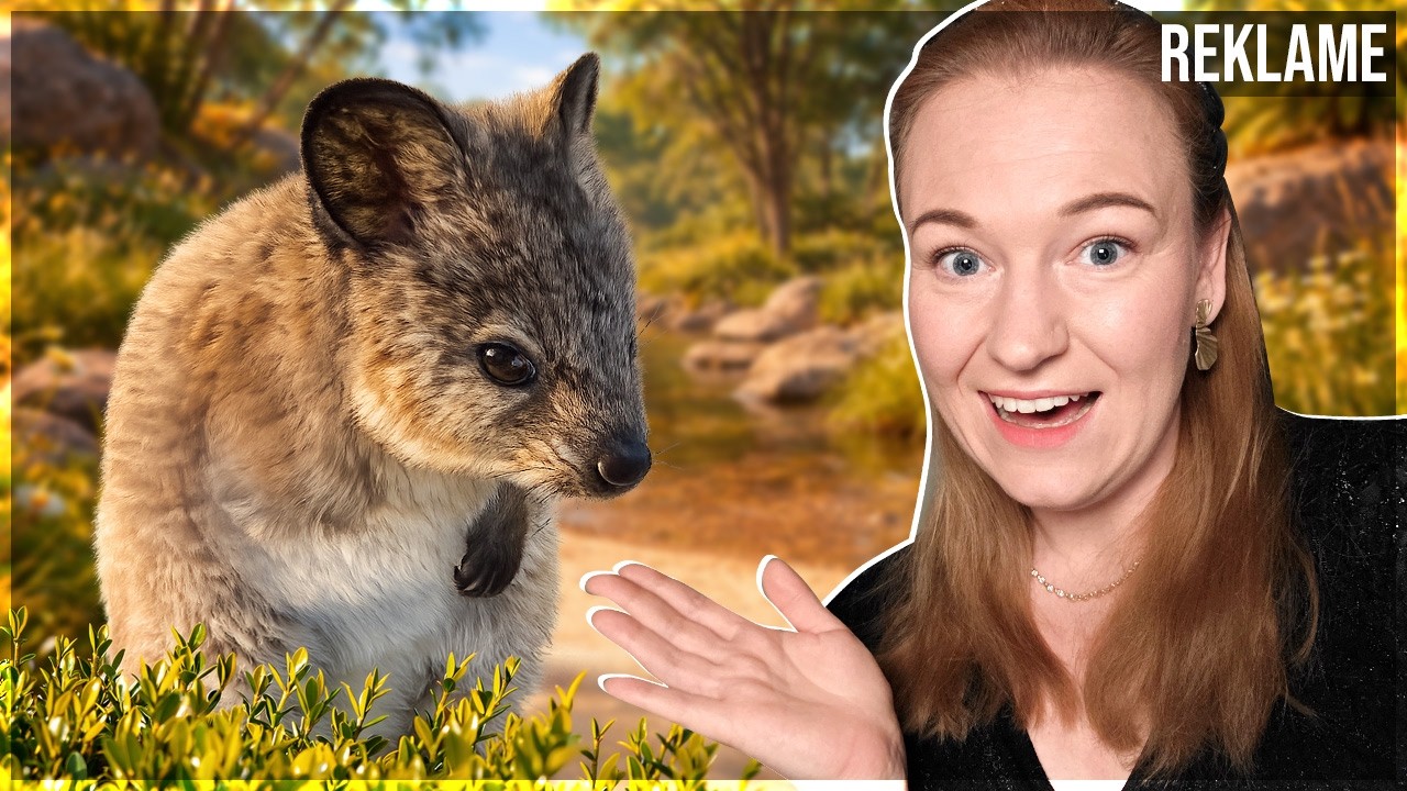 Er det EN FORVOKSET ROTTE?! | Planet Zoo: Nordpolen #9