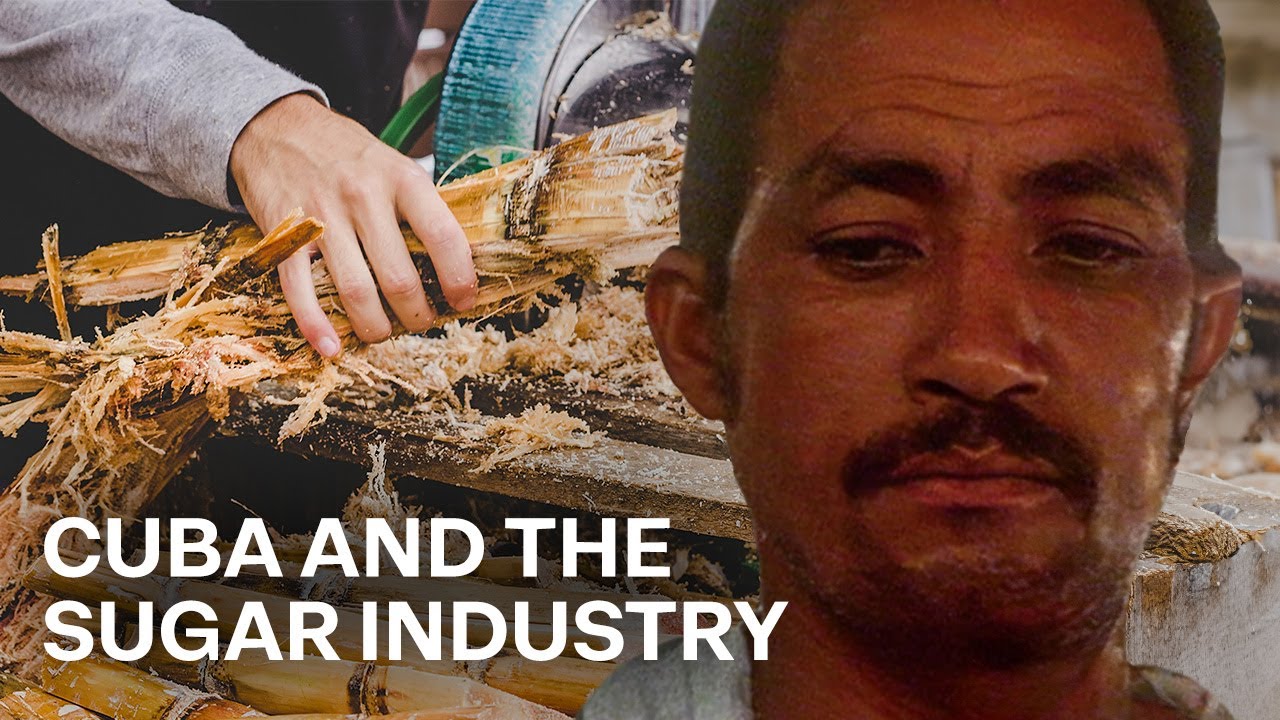 Sugar And The Cuban Economy: 25 Years Of Revolution | Our History