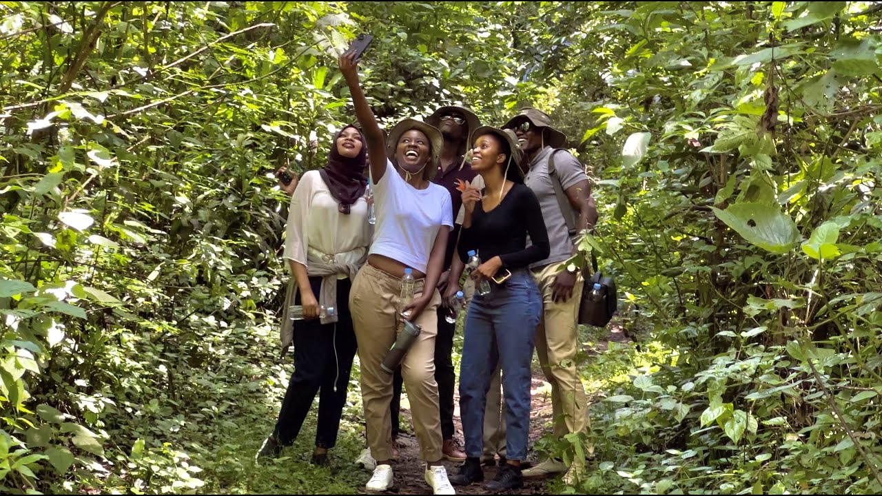 🍃Unbelievable secrets of the enchanting Kakamega Forest revealed! You won't believe what lies inside