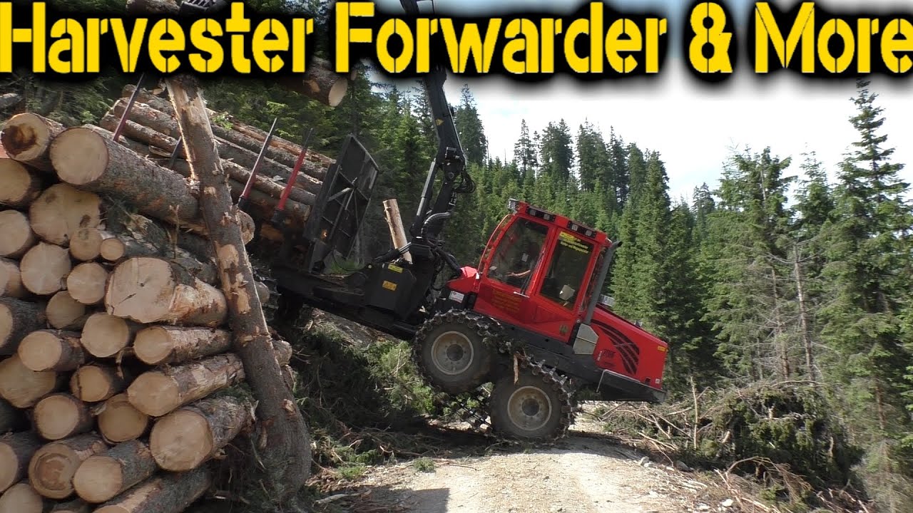 HSM 208F Steep Slope Forwarder