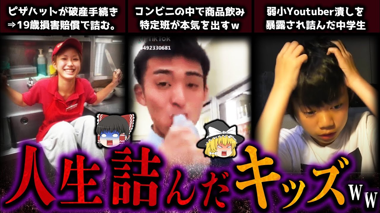 【ゆっくり解説】キッズが起こした大炎上騒動4選‼人生終了・・・（スシローを救いたい）