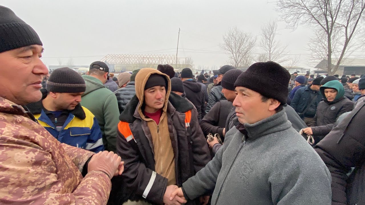 БУГУН ЗЎР БЎЛДИ ДЎРМАНЧА ҚЎЙ БОЗОРИ 27/01/2026