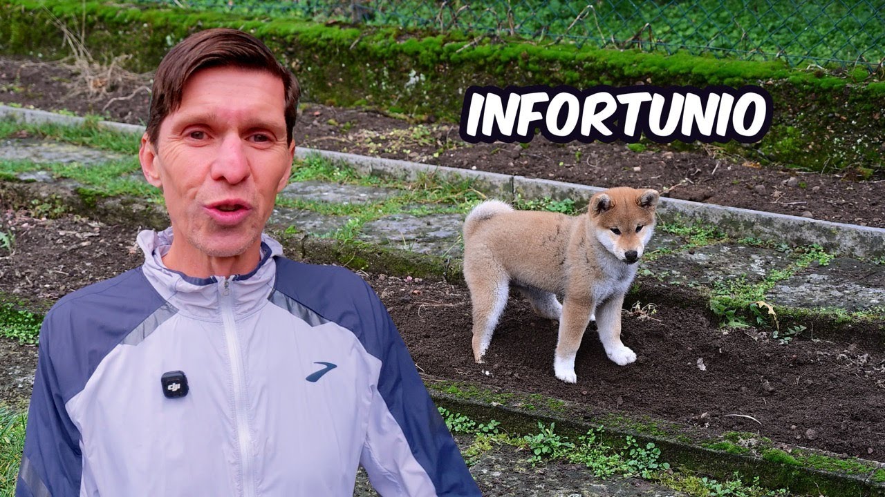 2 settimane senza correre: infortunio al bicipite femorale, ecografia e rientro