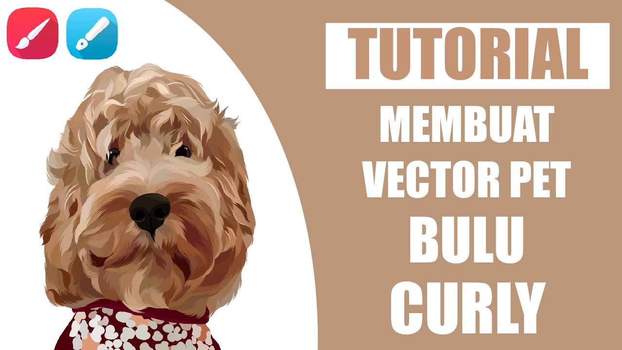 How To Draw Curly Hair Pet Vector || Pet Bulu Keriting #TUTORIAL