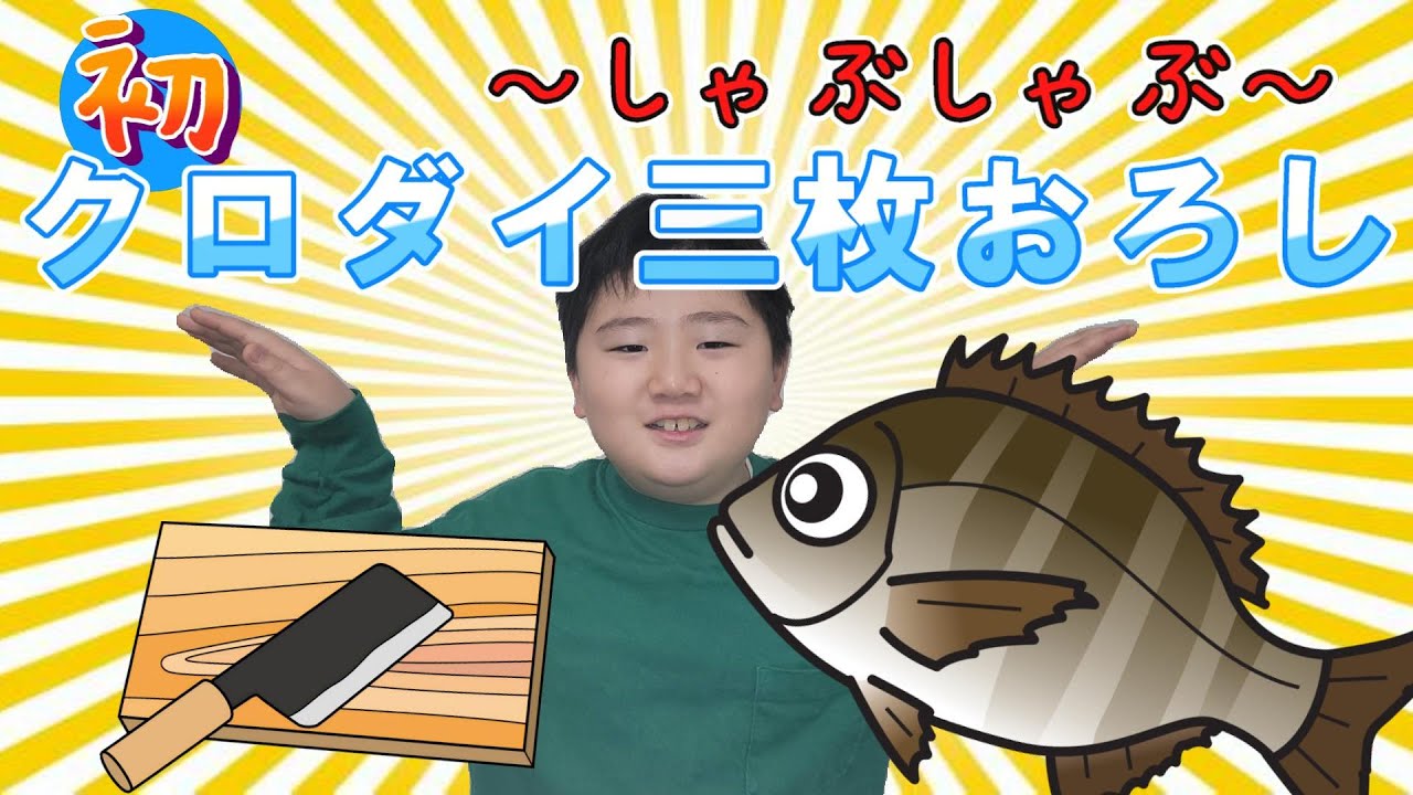 小学2年生が黒鯛の三枚おろしに初挑戦！！～しゃぶ刺～