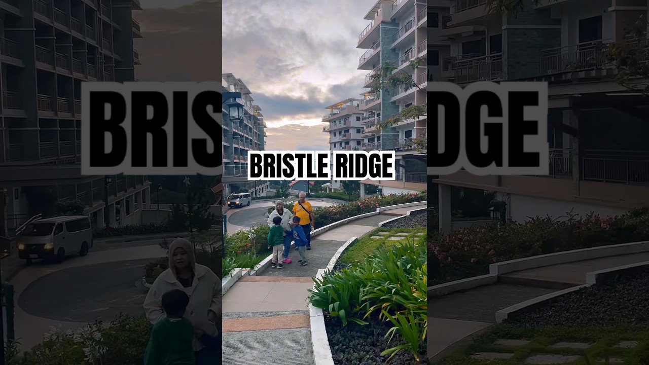 Bristle Ridge 