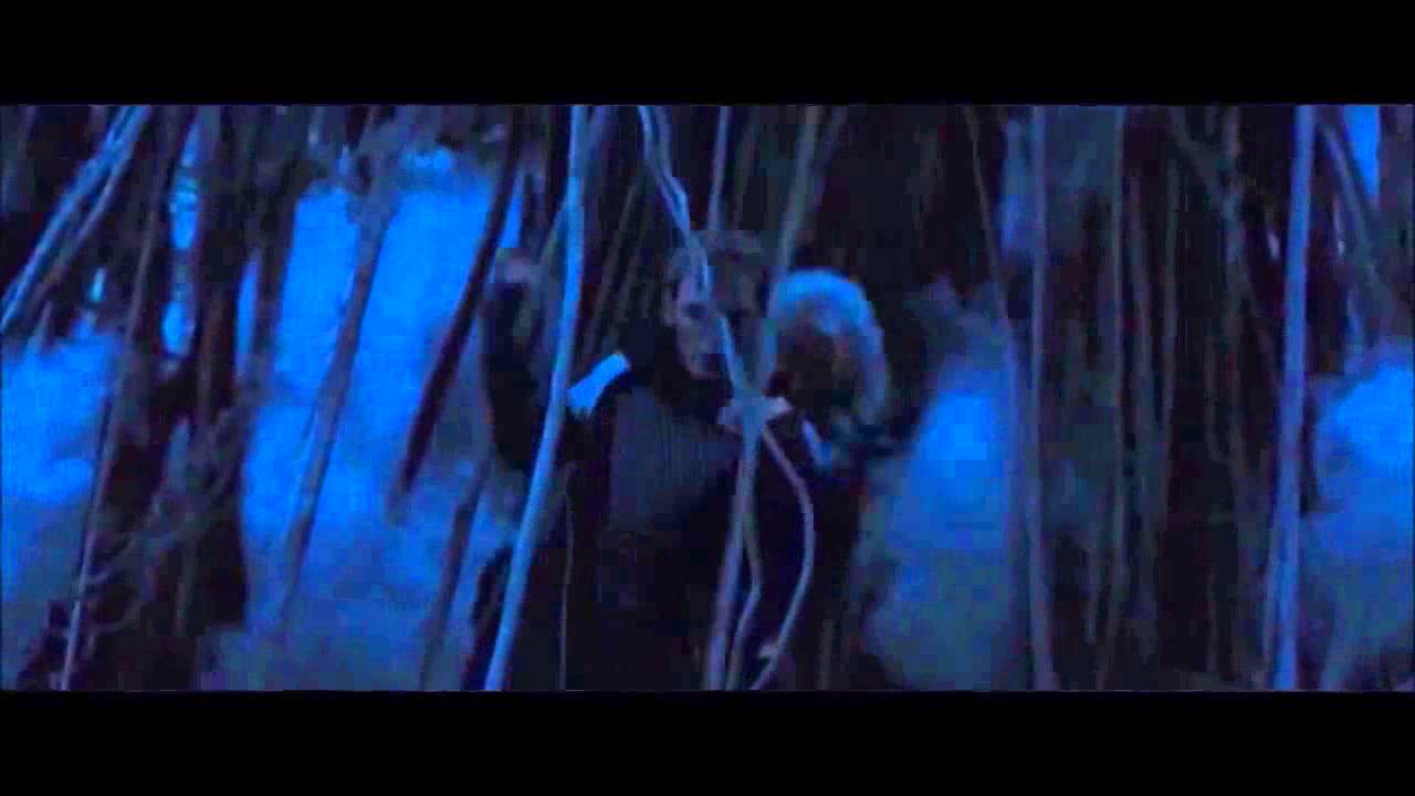 The Hunger Games: Catching Fire - Death Order