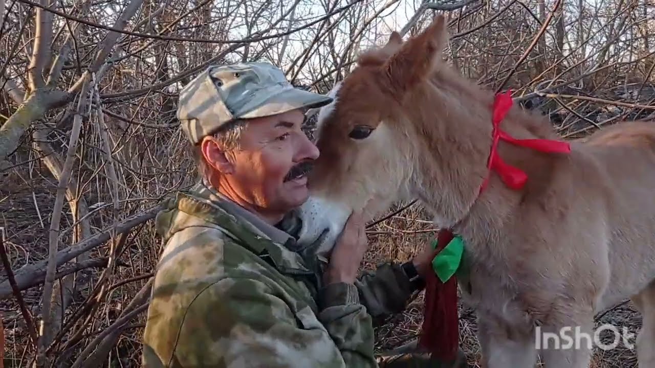 ЛОШАДИ🐎МАЛЫШКА ПЕРВЫЙ РАЗ НА ПРОГУЛКЕ🐴