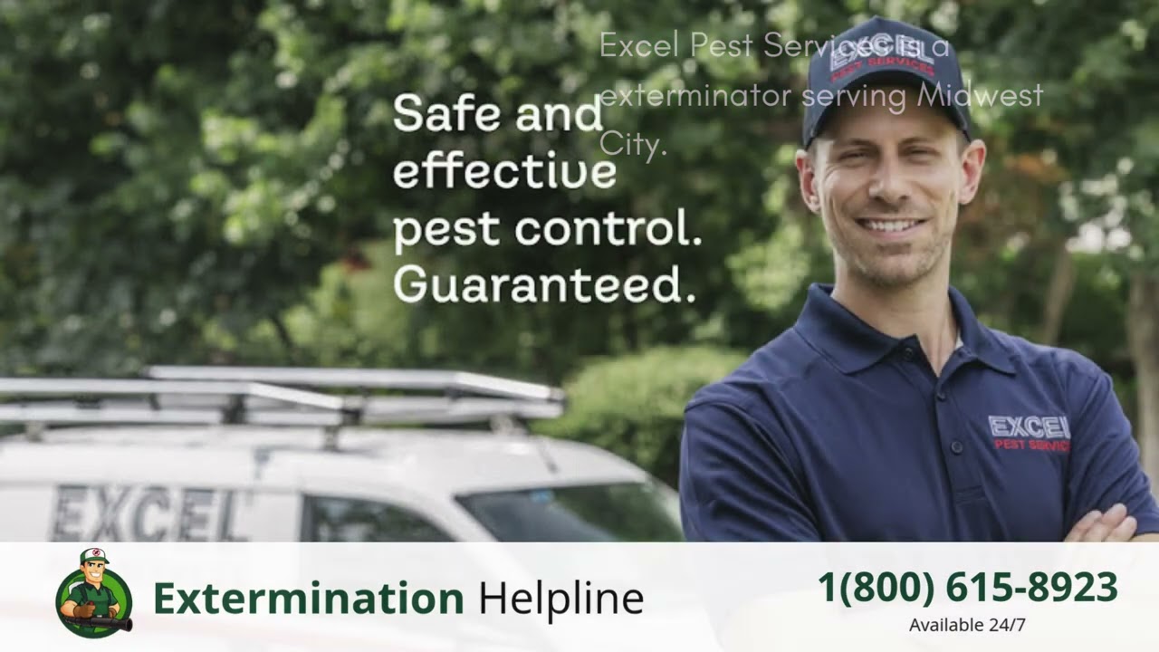 Top 3 Exterminators in Midwest City