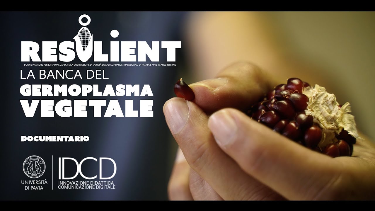 Progetto RESILIENT - Banca del Germoplasma - Documentario di apertura (KIRO UNIPV)