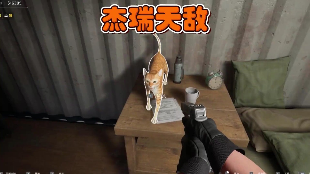 营地来了个厉害人物！