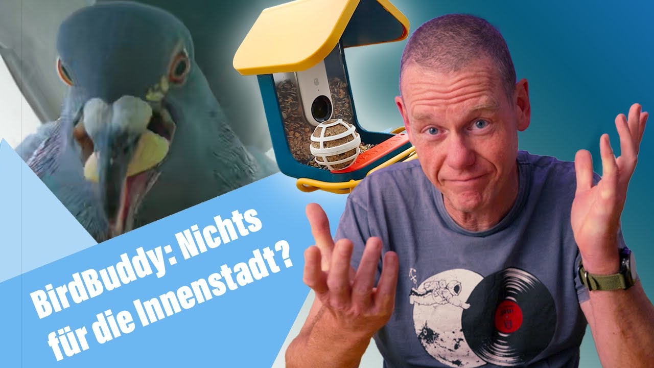 Warum der BirdBuddy in Innenstädten nichts taugt: Vögel füttern und filmen, und Tauben verjagen