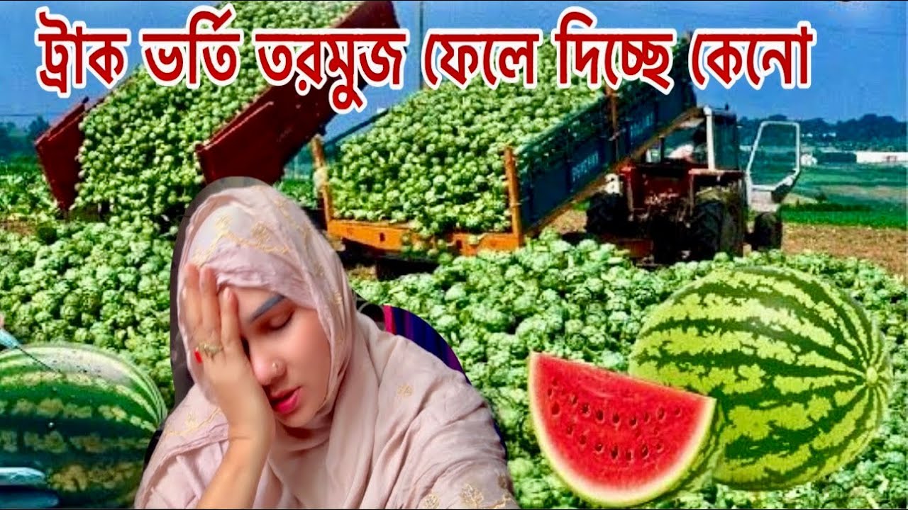 আল্লাহর কাছে ভাগ্যটা এতো খারাপ আনছি কি বলবো তোমাদের!🥹#tormuj #saudiz_tour