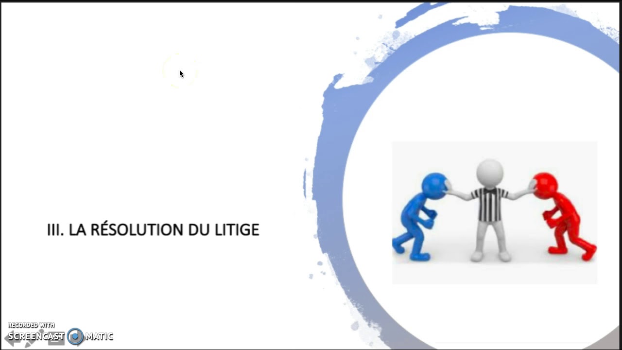 Le litige Droit 1ère STMG