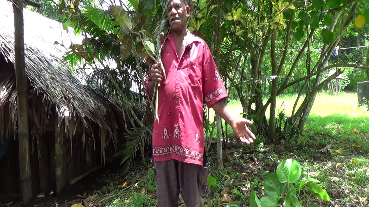 VV7: Blackbirding in Sameo, Ambrym 20150305h_h01o111