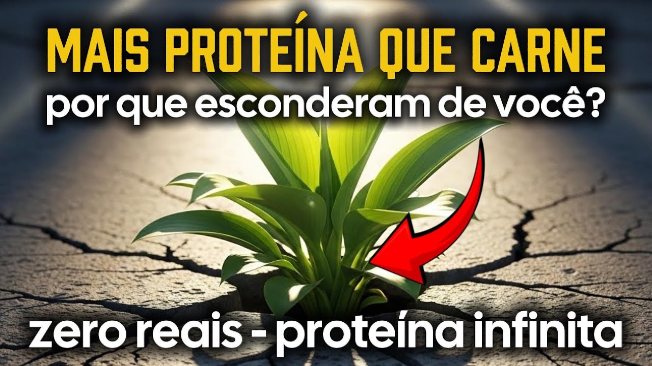 Mais Proteína Que Carne Bovina. Cresce Em Muros. Por Que Sumiram Com Ela Após 1970?