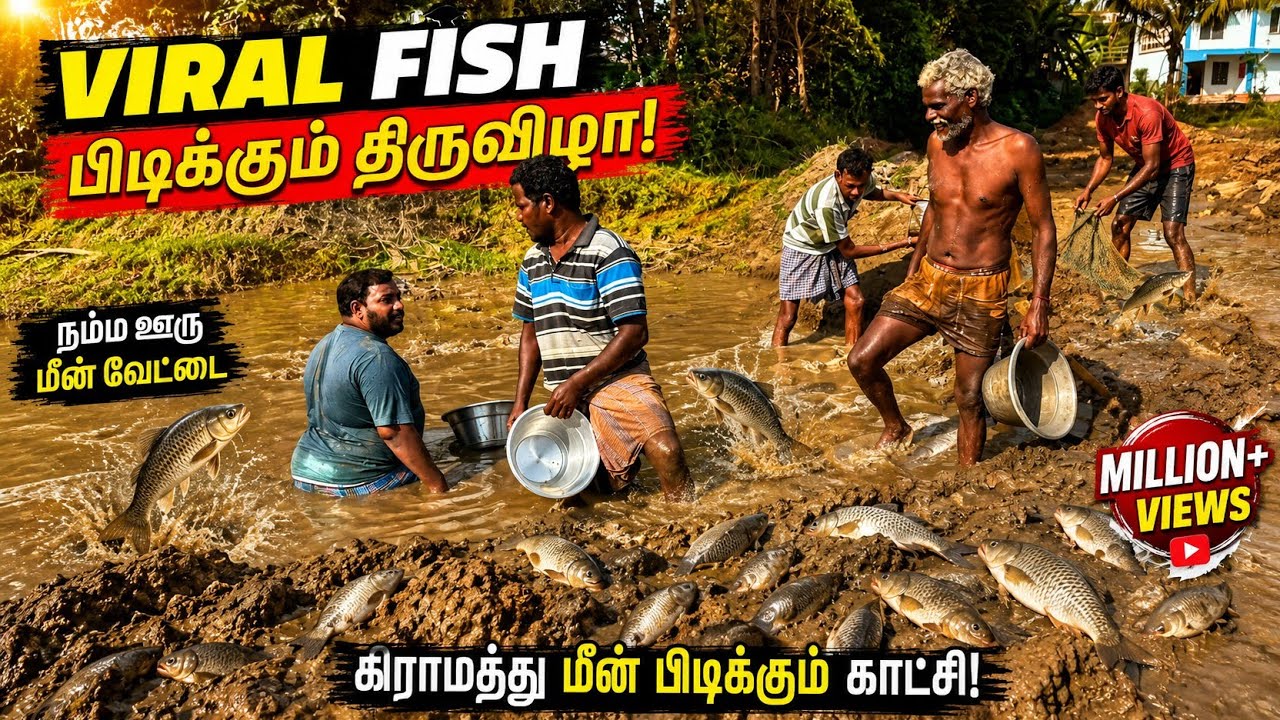 Fish Catching Our Area Village Enjoy Moments | Village Besty foods 