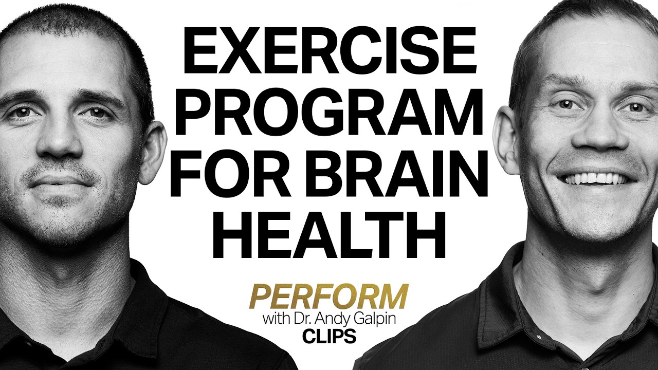 Best Exercise Program for Brain Health & Longevity | Dr. Tommy Wood & Dr. Andy Galpin
