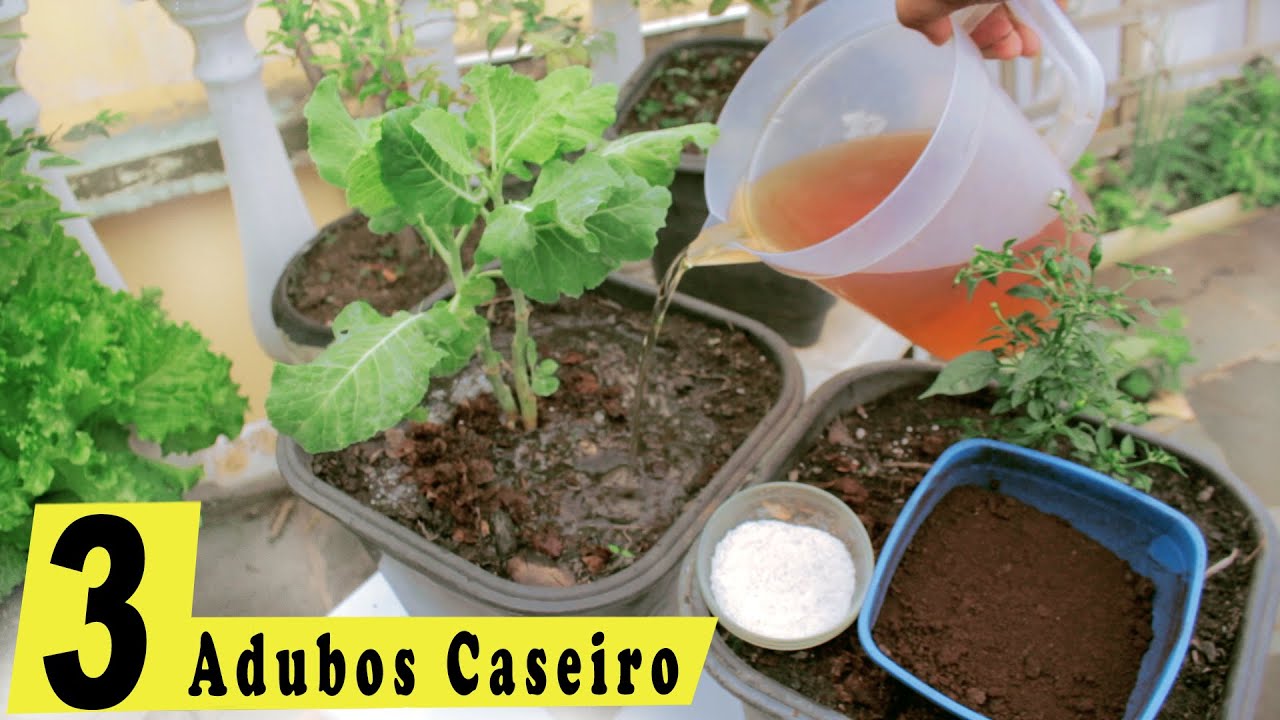 3 MELHORES ADUBOS CASEIROS - ADUBA&Ccedil;&Atilde;O SIMPLES E RAPIDO