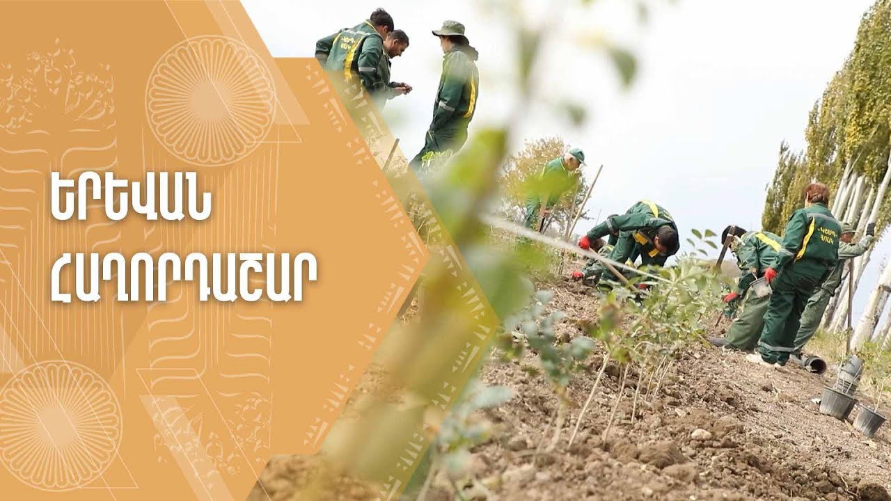 «Երևան» հաղորդաշար 16.11.2024