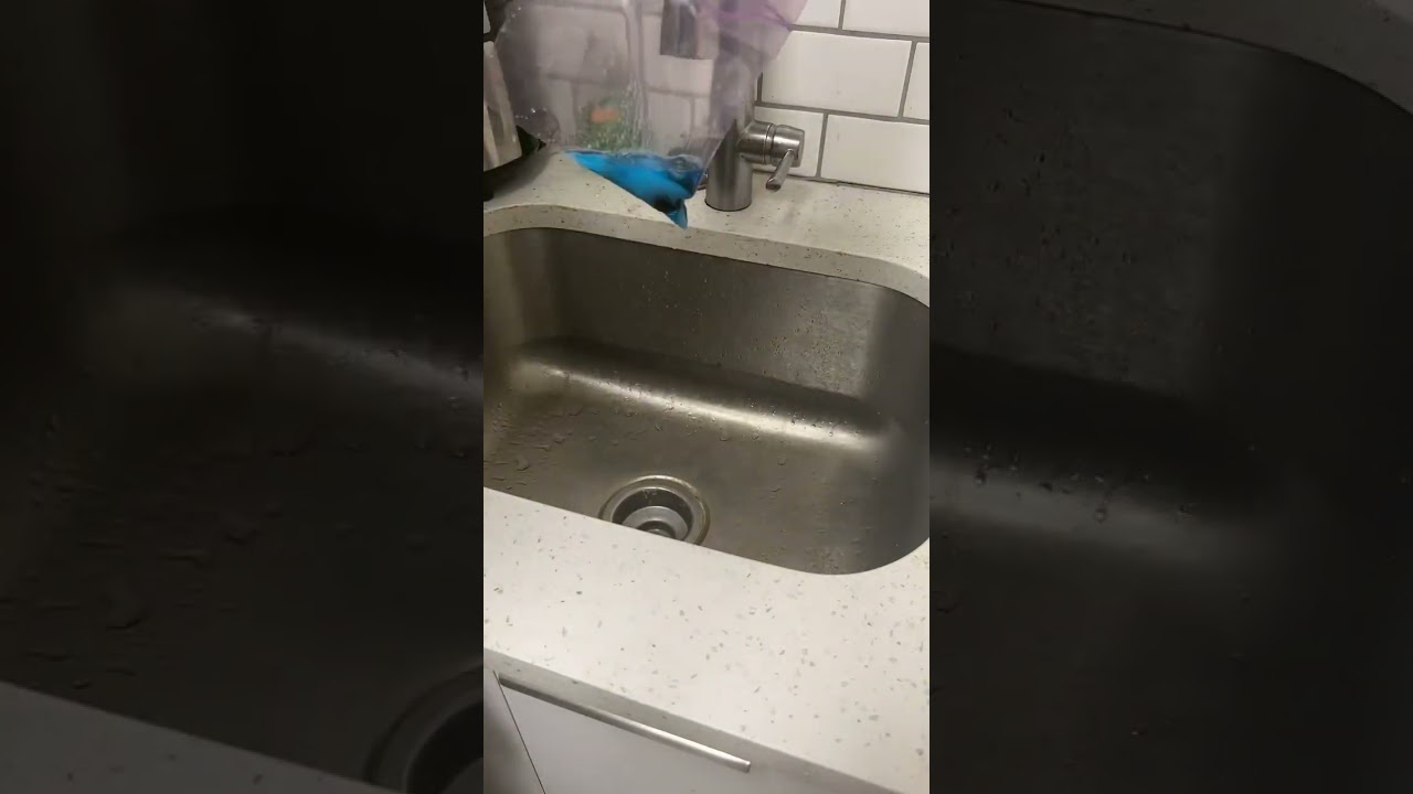 FORMULA 420 GLASS CLEANER VIDEO