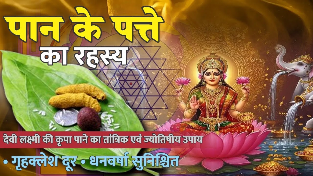 पान का पत्ता धन और देवी लक्ष्मी का रहस्य