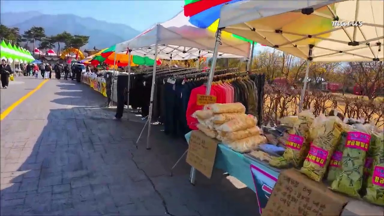 2026구례산수유꽃축제