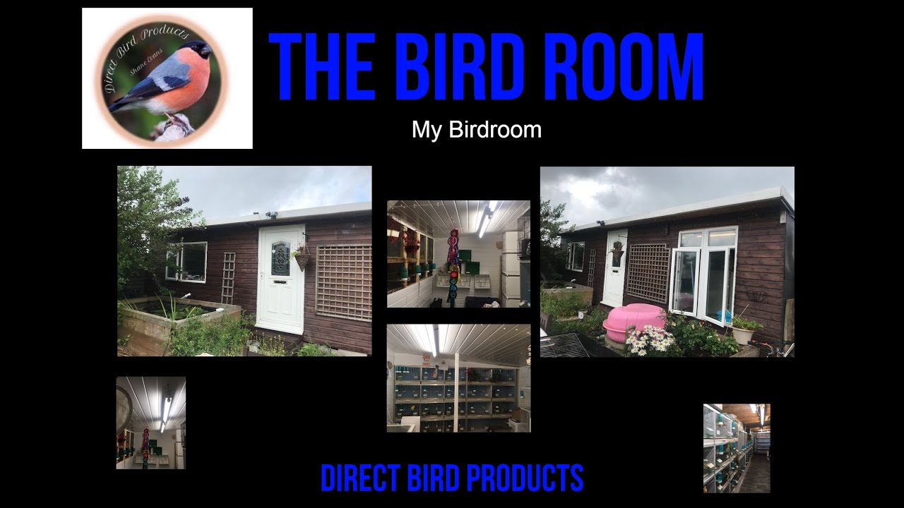 The construction of my Bird room