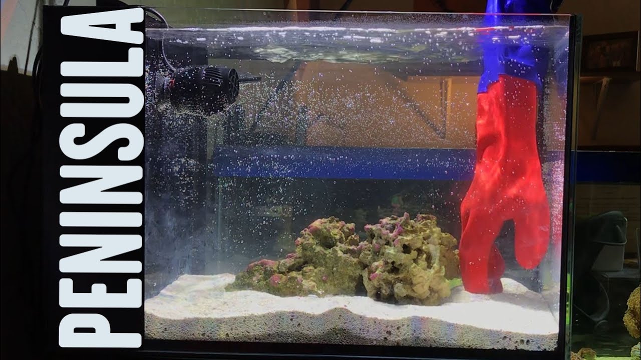 Nano Reef Tank Build - 14 Gallon IM Peninsula