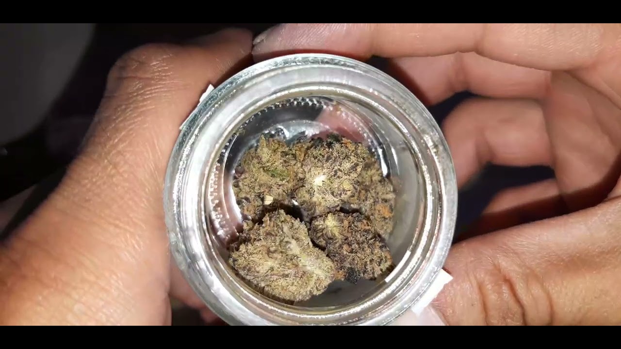 strain review phases reverie rose