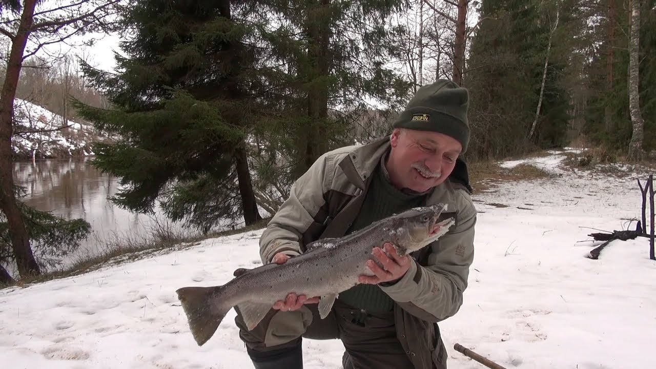 ZVEJA -Spiningo&scaron;ana Gaujā! Jauns videoprojekts sadarbībā ar Gards.