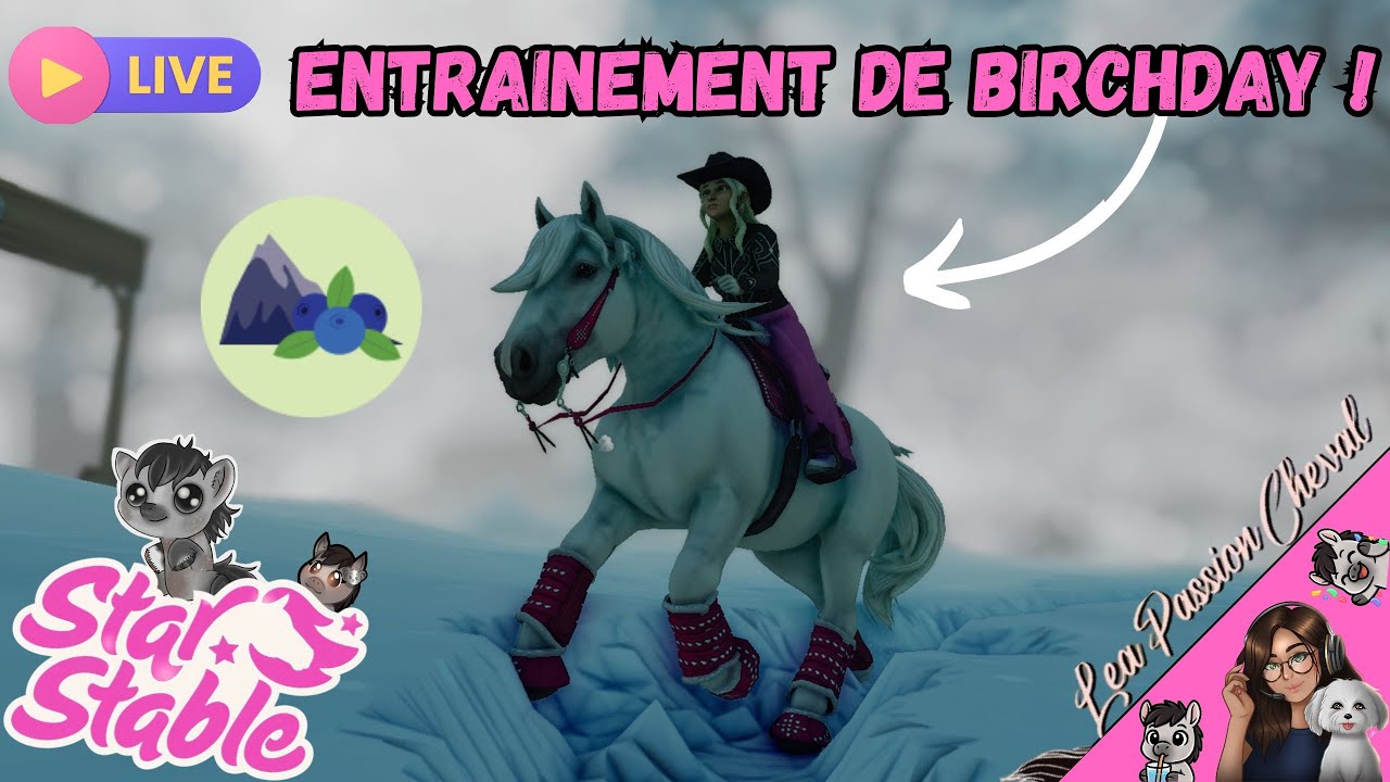 🔴Live : Entrainement de Birchday 🐎✨(Serveur 1 Blueberry Mountain 🏔️) | SSO