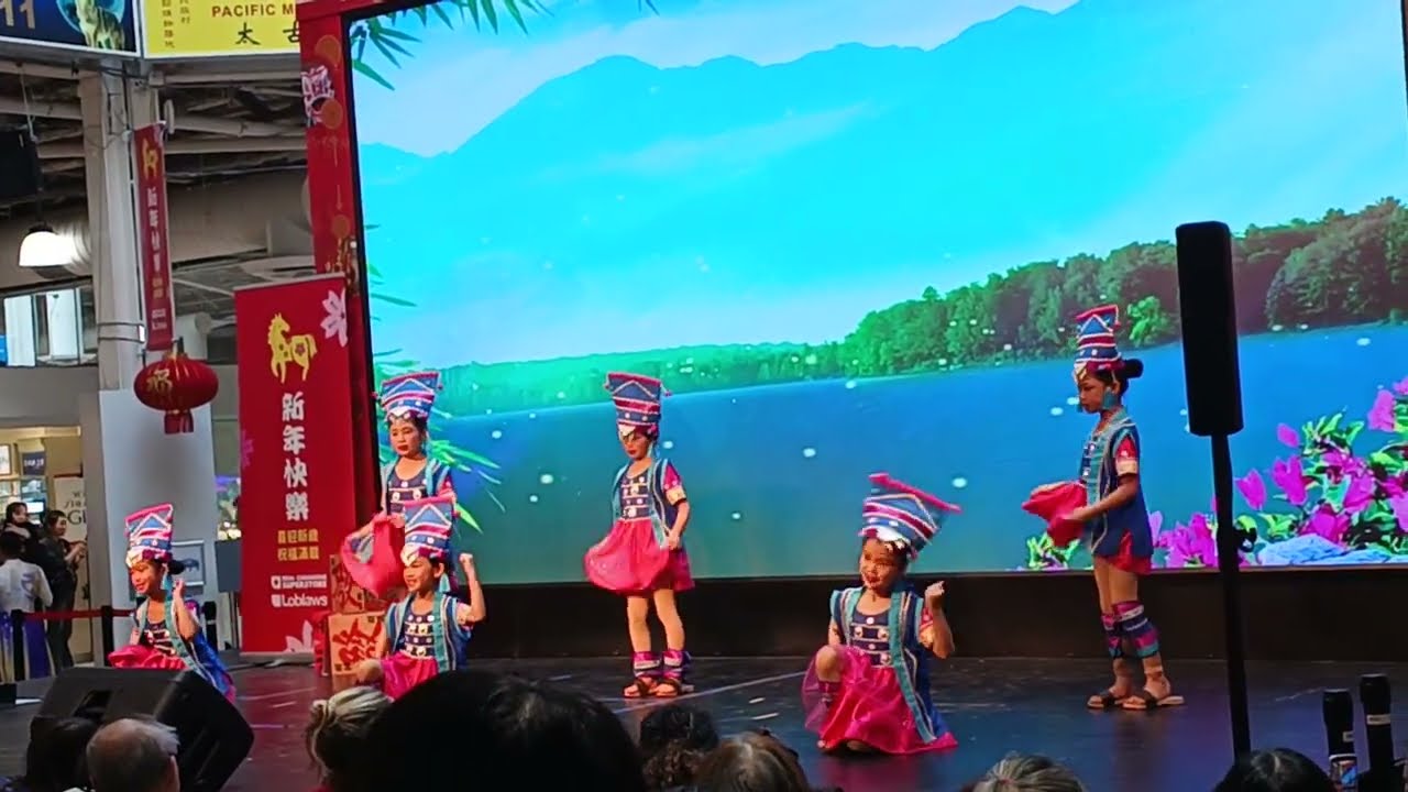 Lunar New Year 🧧 Pacific Mall Toronto
