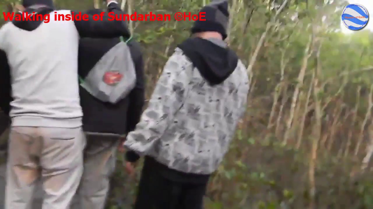 Walking inside of sundarban Part 1 &copy;HoE