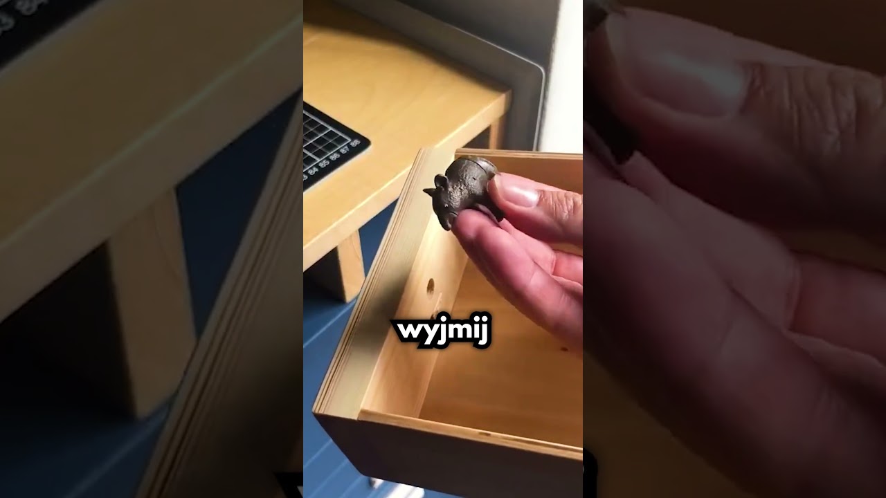 Nawet Policja Tego Nie Znajdzie!🧐