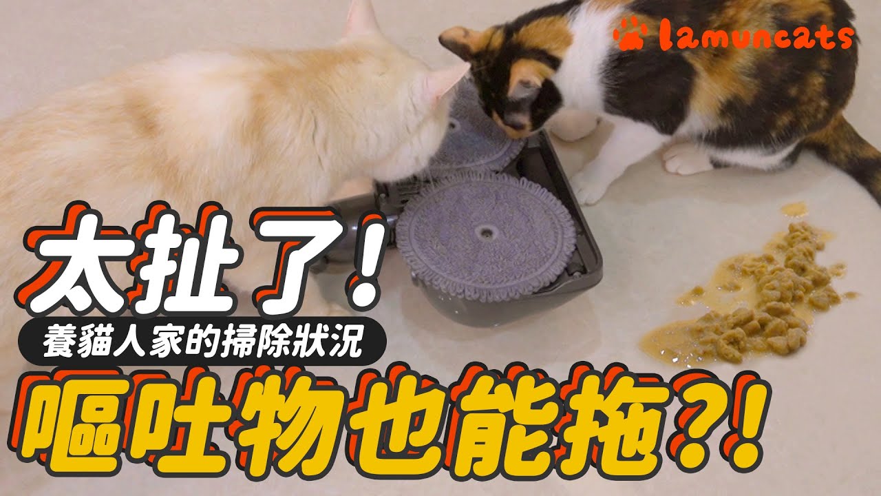 吸塵器吸嘔吐物？！貓奴居家清潔重點┃拉姆有幾噗 ♤