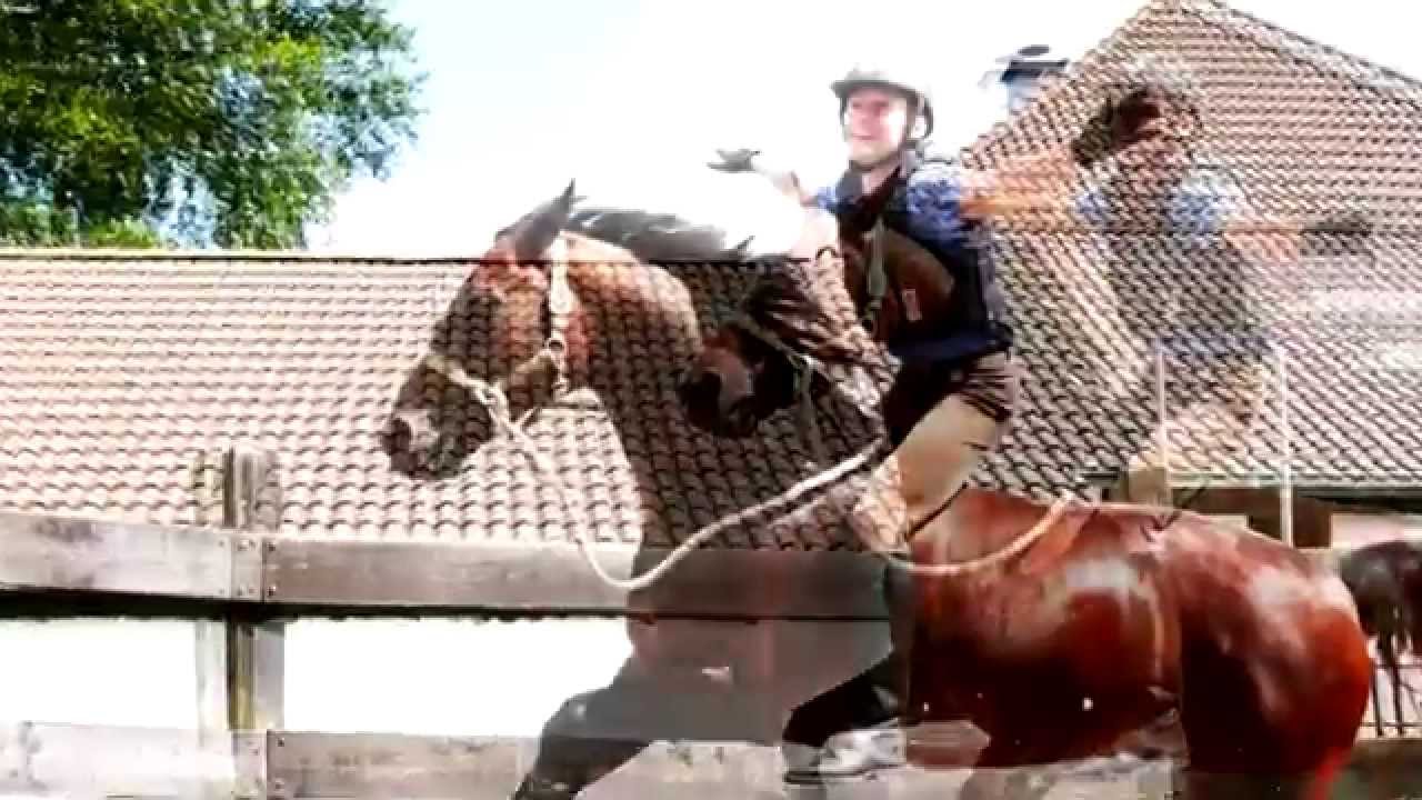 Vielseitigkeits Training in der Eifel