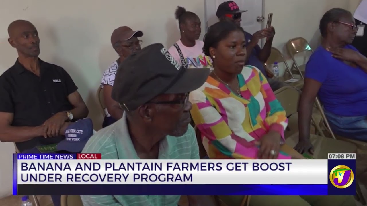 Banana and Plantain Farmers Get Boost Under Recovery Program | TVJ News