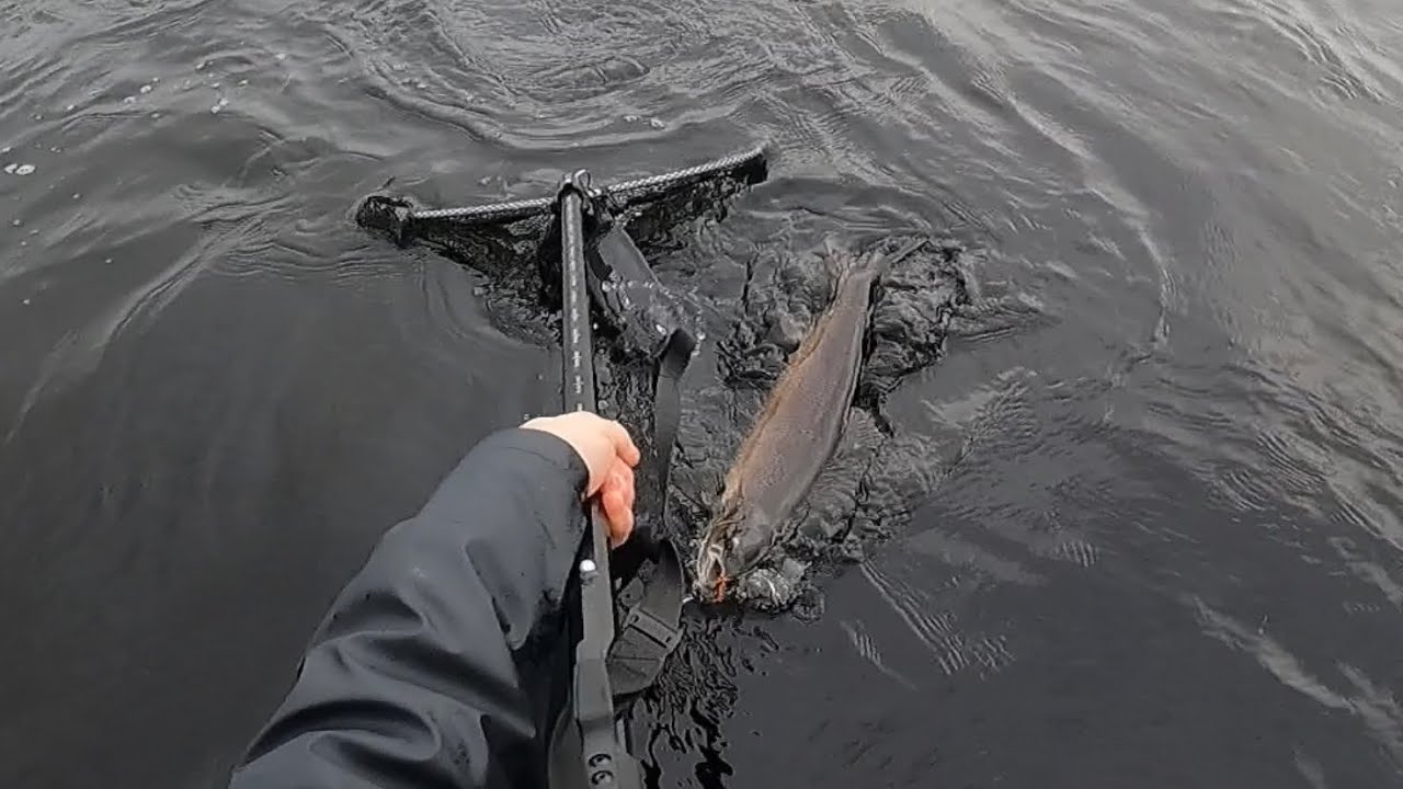 A late season Scottish salmon/trout fly fishing adventure