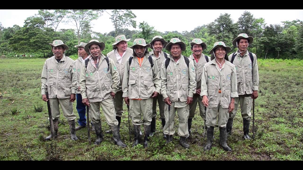 Bosawas: Mayangnas al frente
