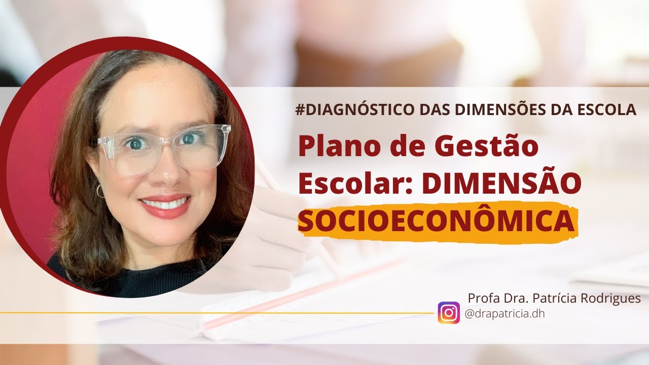 Como analisar e descrever a DIMENSÃO SOCIOECONÔMICA do Plano de GESTÃO ESCOLAR? | Profa Patrícia