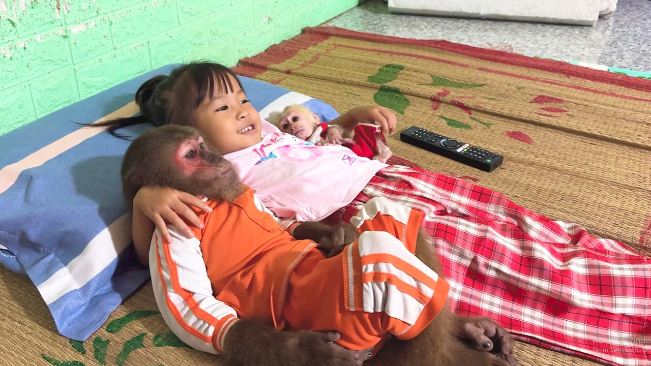 Too Sweet! CUTIS, Baby Monkey & Yen Nhi’s Adorable Moments
