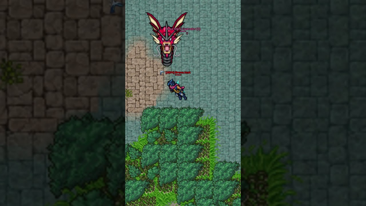 KALOS UPDATE - TEASER 01 😮😮😮