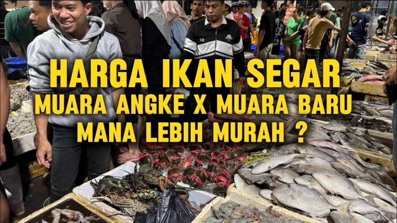 Bakar Ikan di Malam Tahun Baru, Berburu Ikan Segar di Pasar Ikan Modern Muara Baru #jakartautara