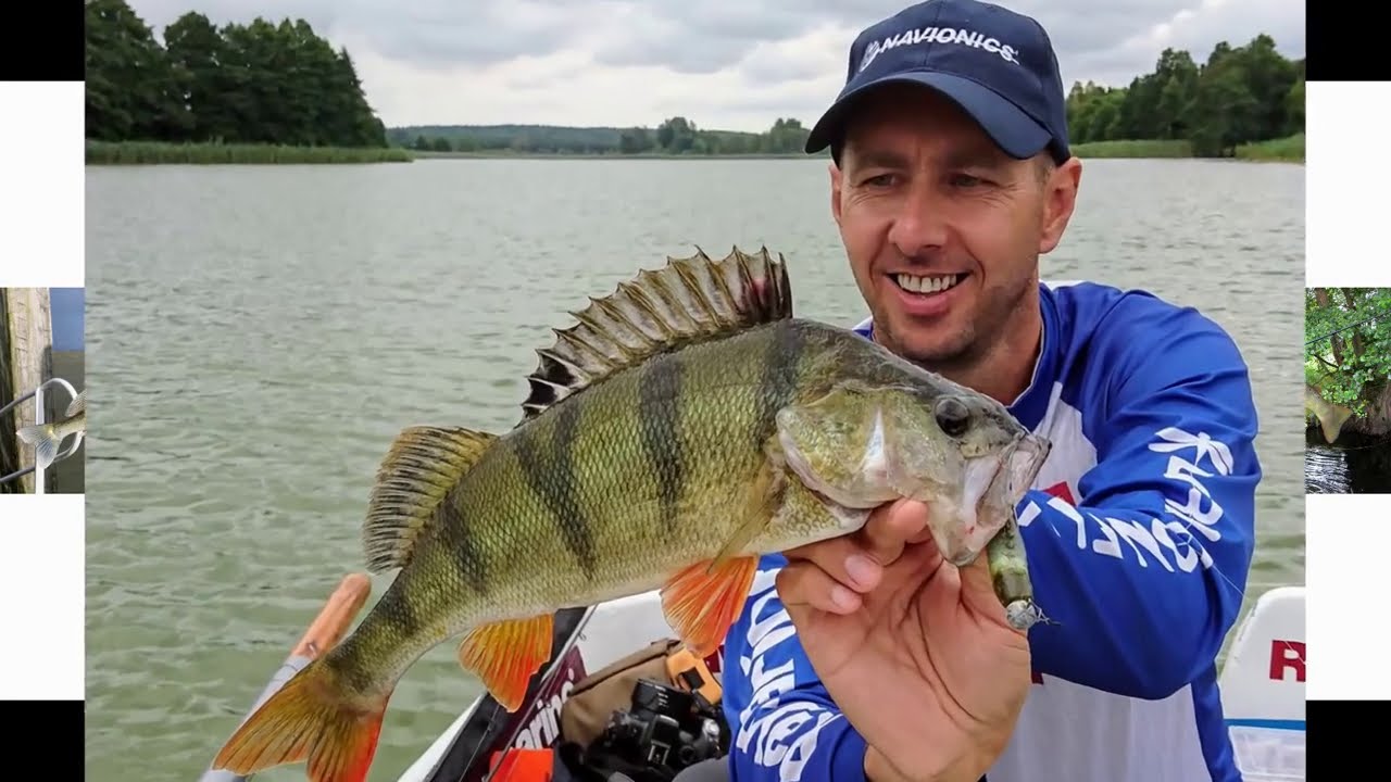 Prezentacja wędzisk City Liner | om&oacute;wienie wędzisk na okonia pstrąga szczupaka sandacza | spinning