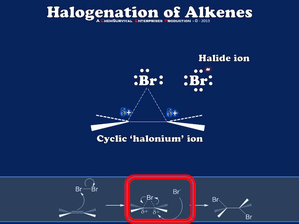 Mechanism of alkene halogenation