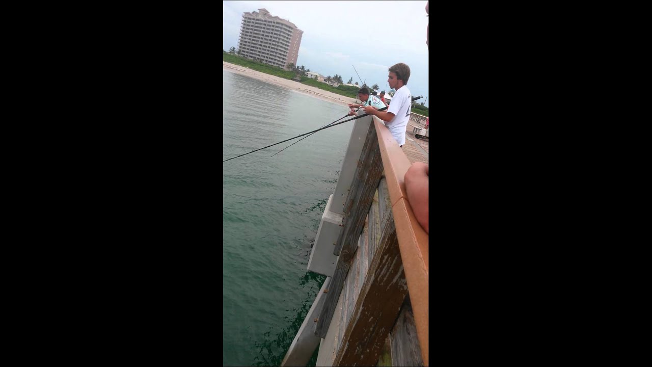 Snook on juno pier